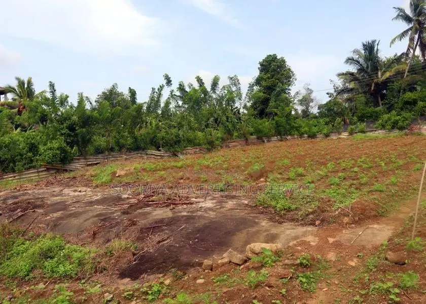 Land for Sale in Gonapola
