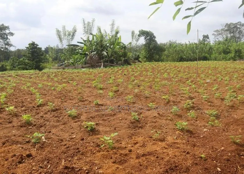 Land for Sale in Gonapola