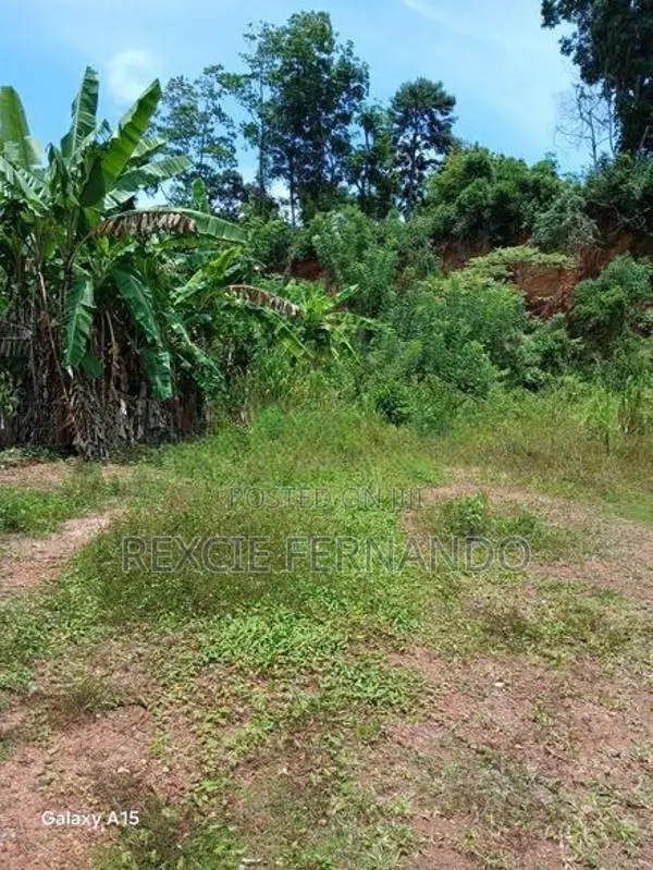 Bare Land Hokandara