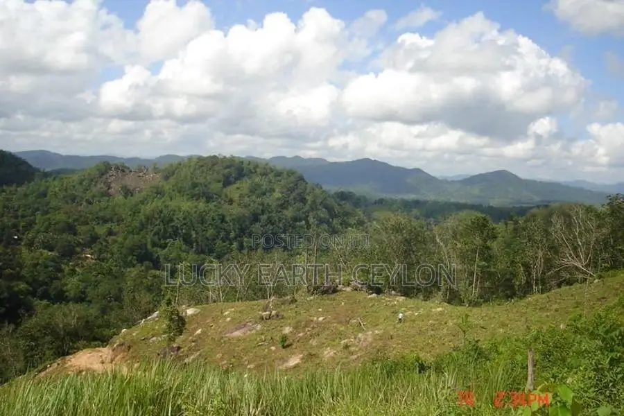 Sale Mathugama, Scenic Estate For (NZMS3025)