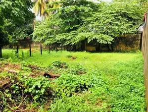 Piliyandala Bolgoda River Facing Land For Sale ( RS - 449)