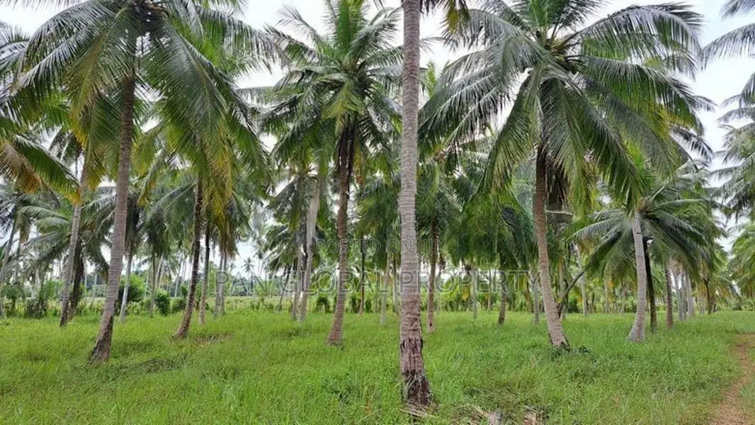 Estate For Sale in Chilaw