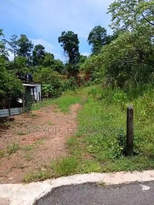 Bare Land Hokandara