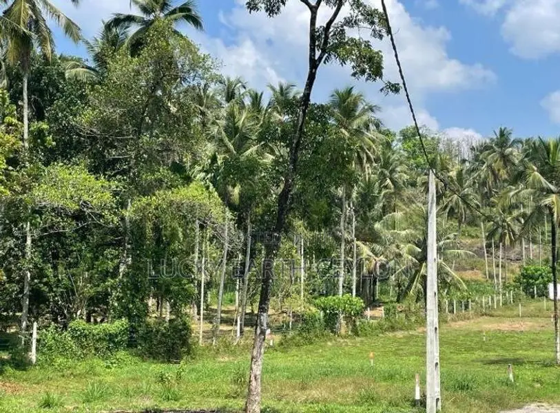 Sale Watareka Padukka, Highly Valuable Estate (NZMS3024)