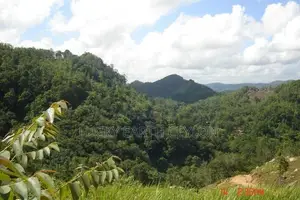 Sale Mathugama, Scenic Estate For (NZMS3025)