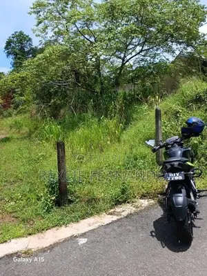 Bare Land Hokandara