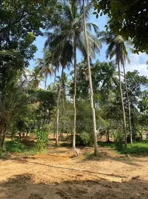 Sale Watareka Padukka, Highly Valuable Estate (NZMS3024)