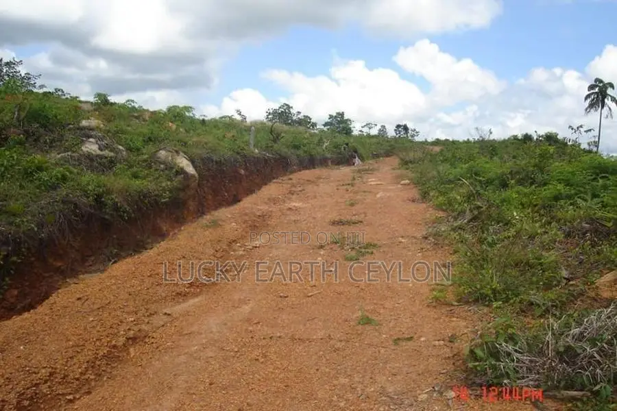Sale Mathugama, Scenic Estate For (NZMS3025)