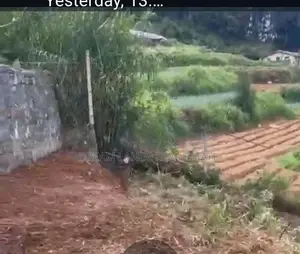 Nuwara Eliya Land for Sale ( RS - 453)