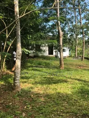 Sale Panadura Bolgoda Lake New House With Large Kadolana Land (NZMS303