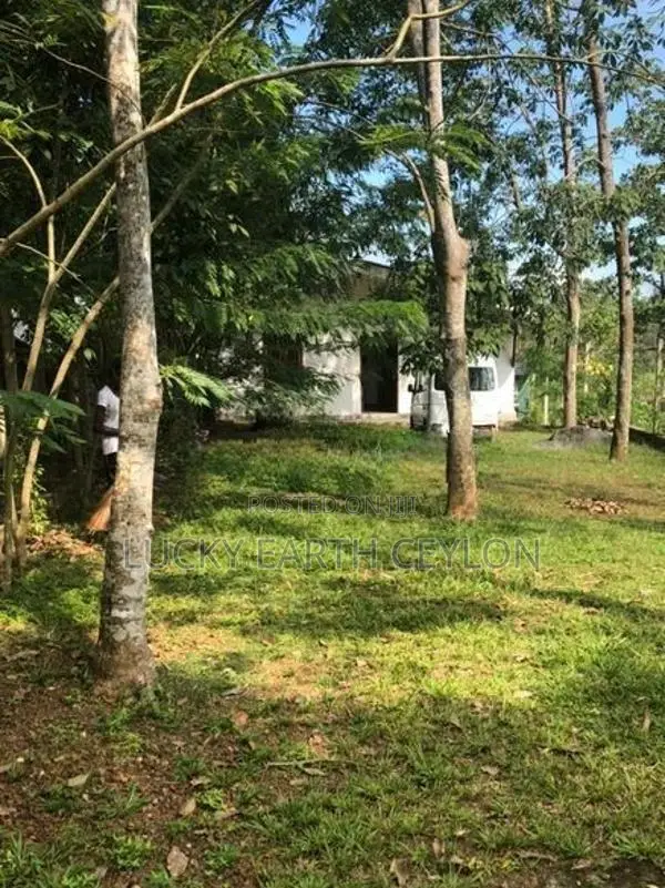 Sale Panadura Bolgoda Lake New House With Large Kadolana Land (NZMS303