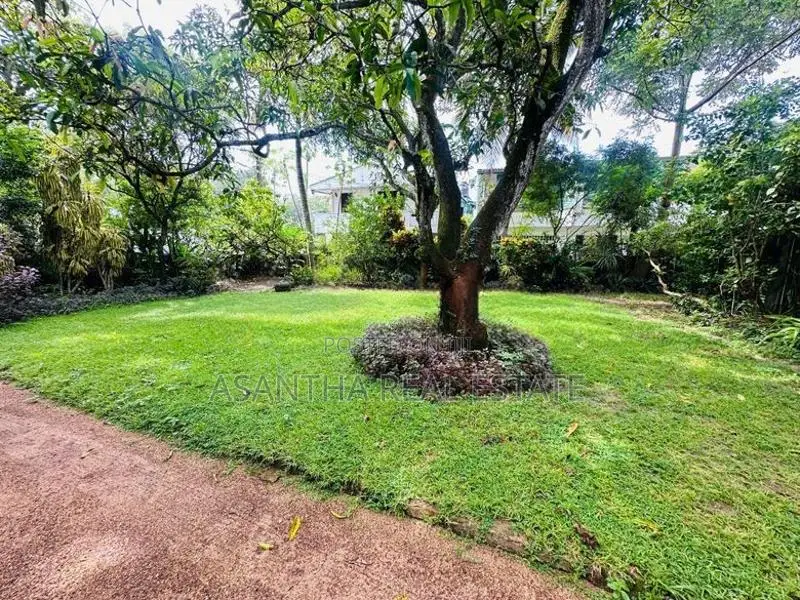 (AF299) 10 P Land Sale At Facing Peterson Road Colombo 06