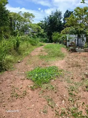 Bare Land Hokandara