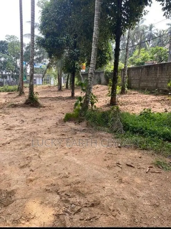 Sale Watareka Padukka, Highly Valuable Estate (NZMS3024)