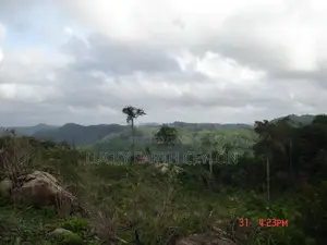 Sale Mathugama, Scenic Estate For (NZMS3025)