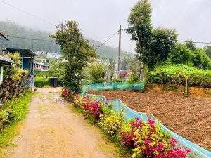 Land For Sale in Nuwara Eliya