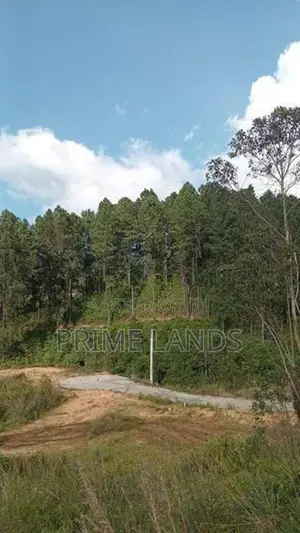 Land for sale Nuwara Eliya Road