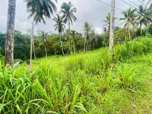 172P Commercial Land for sale Facing Padukka – Horana main Road