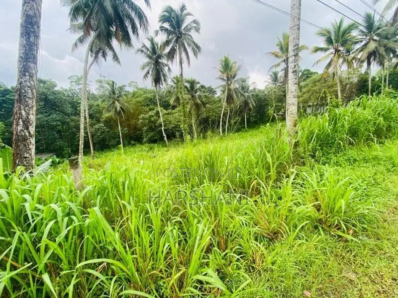 172P Commercial Land for sale Facing Padukka – Horana main Road