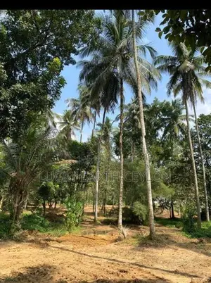 Sale Watareka Padukka, Highly Valuable Estate (NZMS3024)