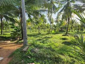Estate For Sale in Katupotha - Kurunegala