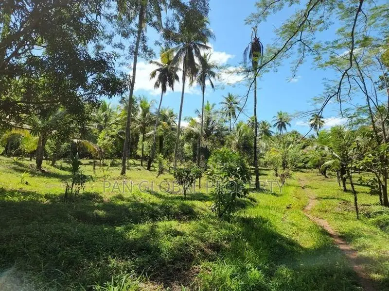 Estate For Sale in Katupotha - Kurunegala