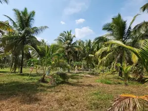 Estate For Sale in Katupotha - Kurunegala