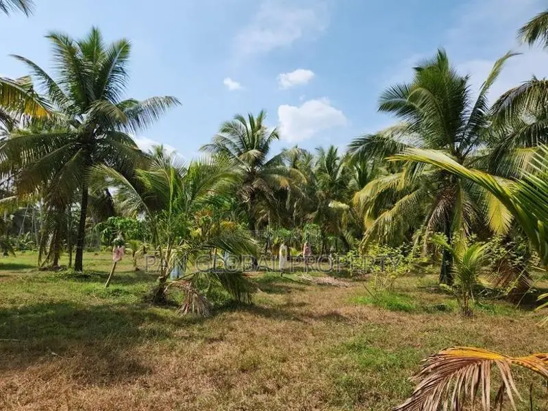 Estate For Sale in Katupotha - Kurunegala