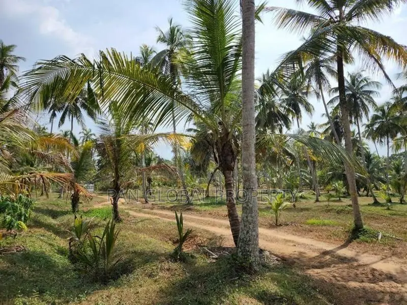 Estate For Sale in Katupotha - Kurunegala