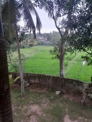 Pannipitiya : 20 P Highly Residential land for Sale at Palanwaththa