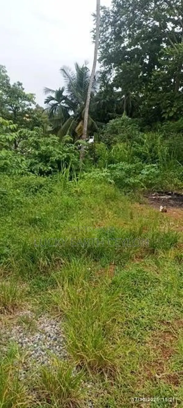 Nugegoda, Bare Land For Rent In Heart Of the City (MG1195)
