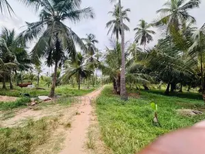 (AFA571) 10 Acre Coconut Estate for Sale in Attaweilwa Puttalam