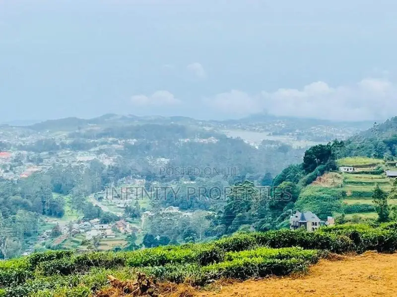 (AFA621) Nuwara Eliya Shanthi Pura 71 P With Bungalow For Sale! -