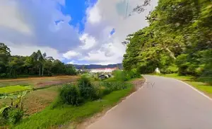 Commercial Land For Sale in Nuwara Eliya