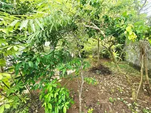 9.50P High Residential Land for Sale in Nawala