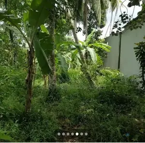 ☆ Piliyandala Madapatha