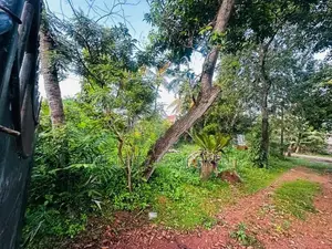 30 P Land for Sale in wathegedra Road Maharagama