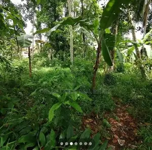 ☆ Piliyandala Madapatha