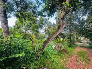 30 P Land for Sale in wathegedra Road Maharagama