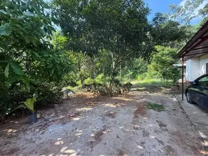 House With 90 p Land Beautiful Paddy View - Agalawatta Mathugama