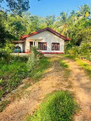 House With 90 p Land Beautiful Paddy View - Agalawatta Mathugama