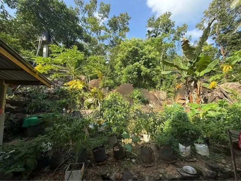 House With 90 p Land Beautiful Paddy View - Agalawatta Mathugama
