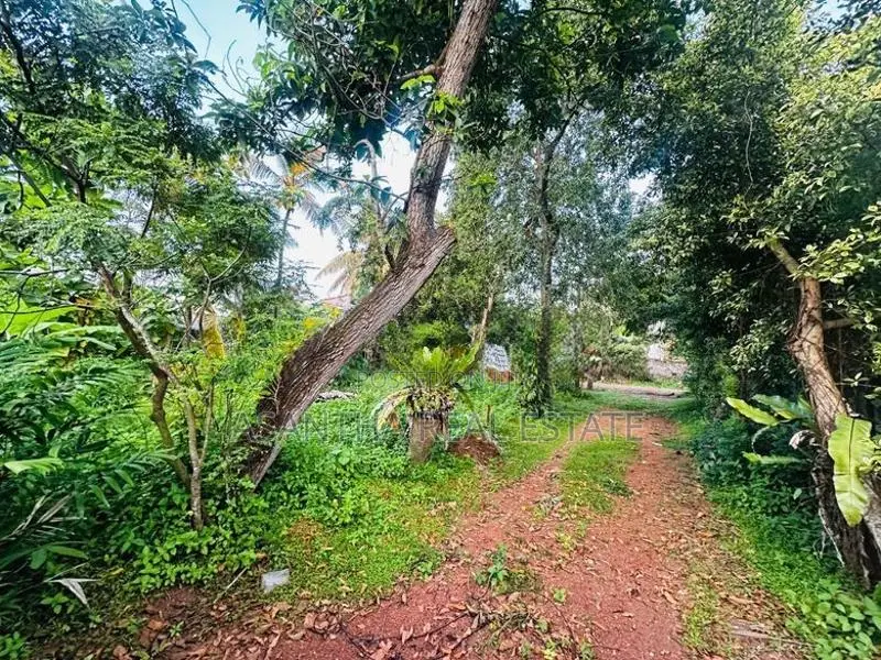 30 P Land for Sale in Wathegedra Road Maharagama