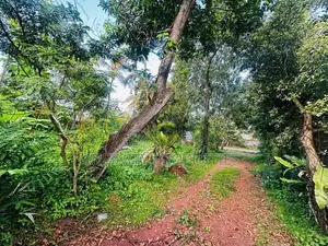 (AFA649) 30 perches residential bare land for sale in maharagama