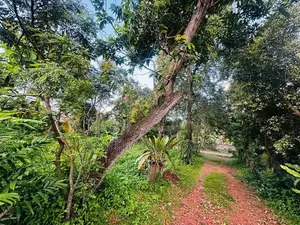 30 P Land for Sale in Wathegedra Road Maharagama