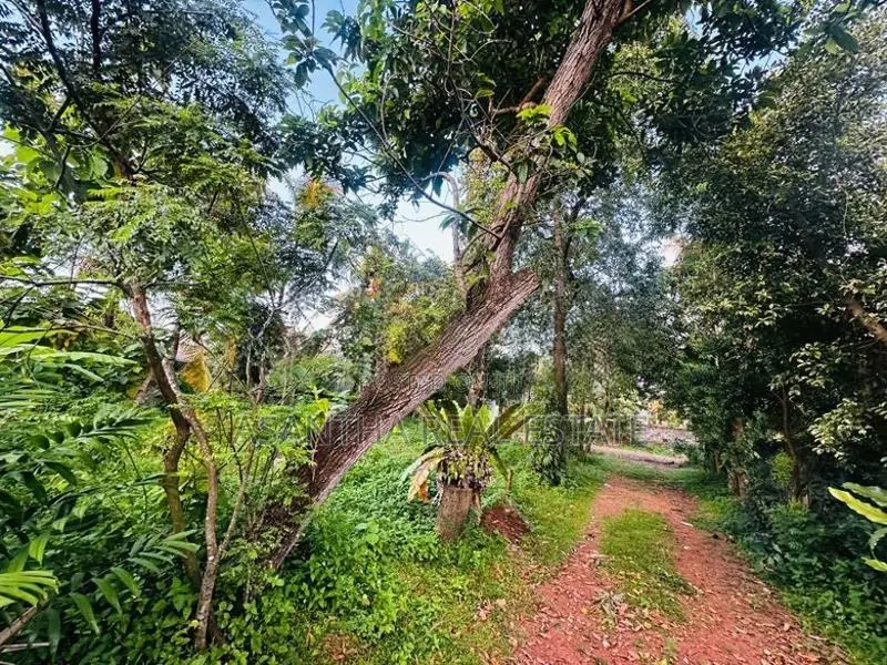 30 P Land for Sale in Wathegedra Road Maharagama