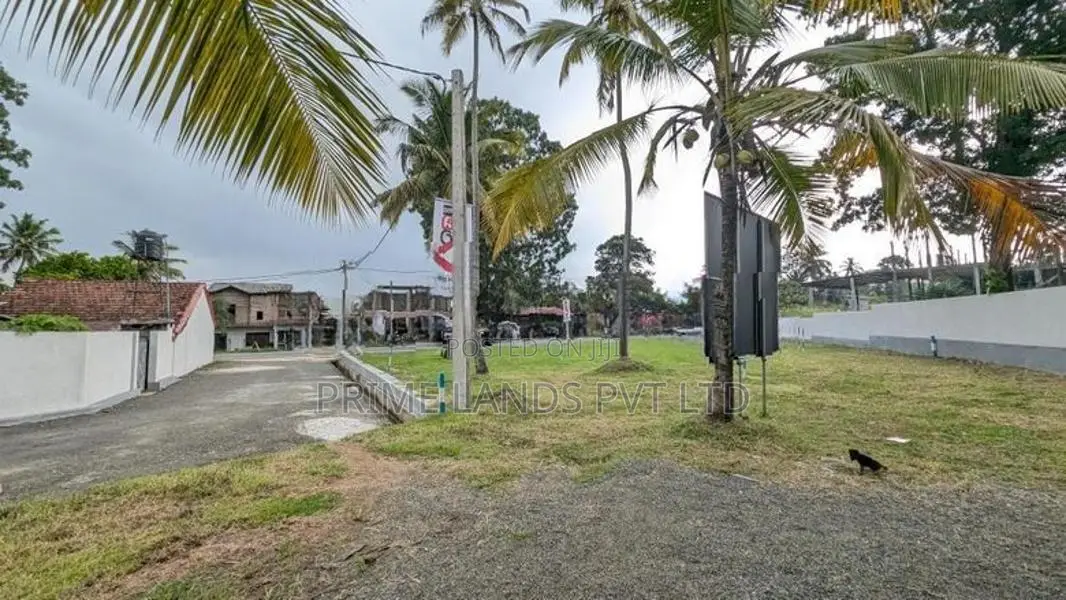 දඹුලු පාරට මුහුණලා ව්‍යාපාරික බිම් කොටසක්