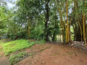 30P Water Front Land for Sale in Nawala