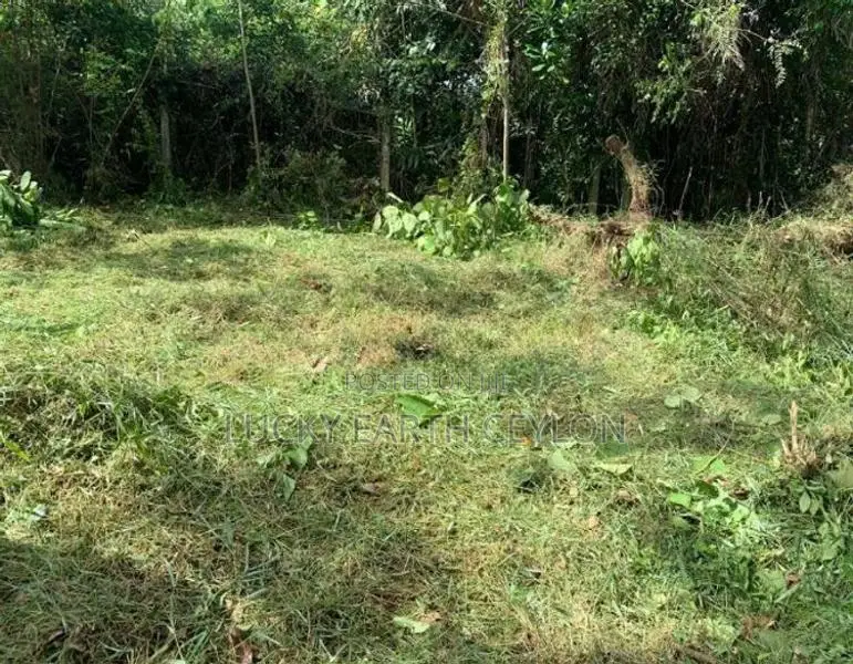 Land for Sale Malabe (NZMS3040)