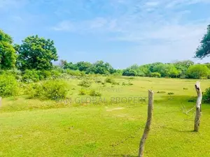 Beach Land for Sale in Arugam Bay